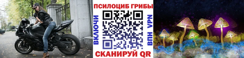 Галлюциногенные грибы Cubensis  мориарти какой сайт  Лаишево  KRAKEN рабочий сайт 